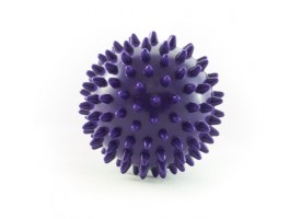 Ježek fialový - průměr 10cm